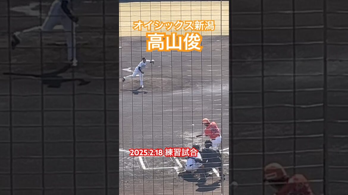 #高山俊 #阪神タイガース #オイシックス #プロ野球