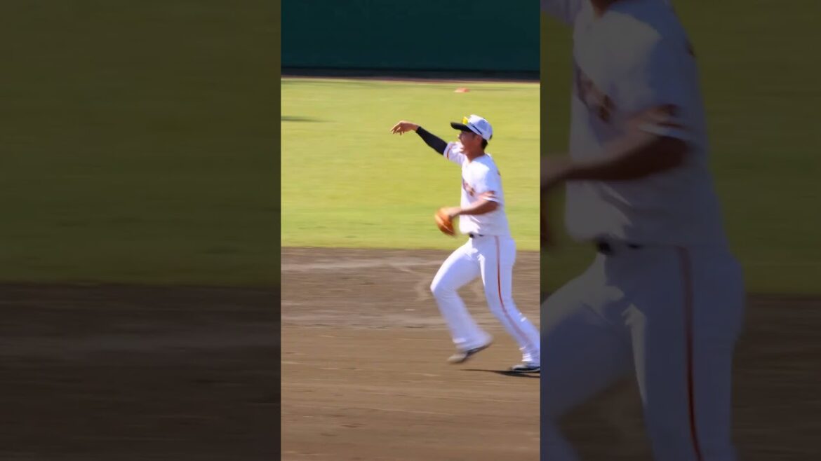 【巨人】プロ野球選手の守備練習【吉川尚輝】　#shorts #baseball #sports #ジャイアンツ #巨人 #プロ野球