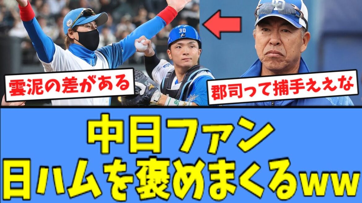 【元中日 躍動】中日ファン、日ハムを褒めまくってくれるｗｗｗ