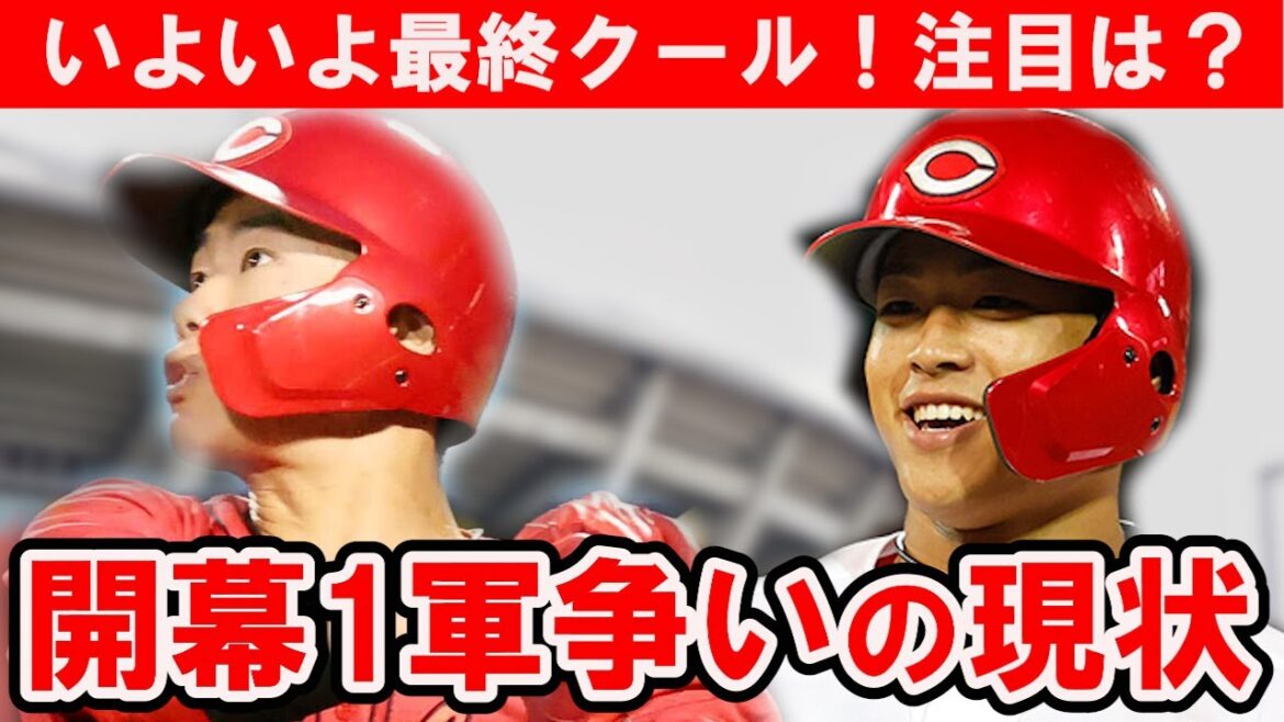 【カープ】最終クール前の序列は？実戦で結果を残している期待の選手はだれだ？【広島東洋カープ】