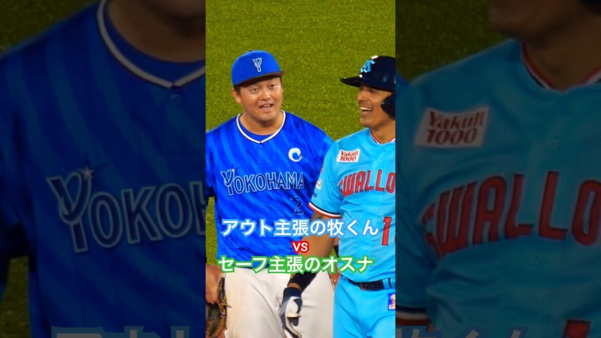 セーフ主張のオスナvsアウト主張の牧くん！ #swallows #野球 #プロ野球 #オスナ #牧秀悟