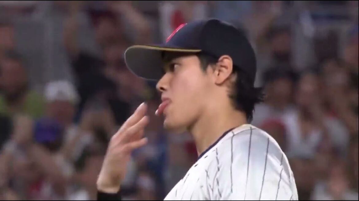 侍ジャパン 全7試合ハイライト 【WBC 2023】