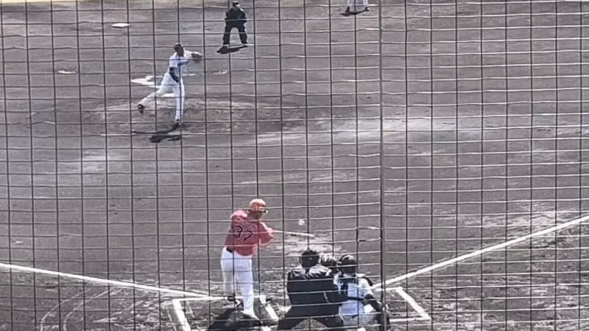 【元東京ヤクルトスワローズ】中山翔太（オイシックス新潟アルビレックスBC）2025.2.18練習試合vs.くふうハヤテ