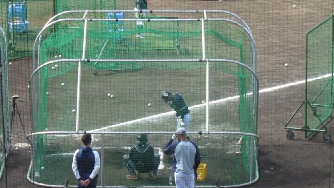 茂木栄五郎フリーバッティング＜ヤクルトスワローズ 沖縄キャンプ 2025年2月19日＞
