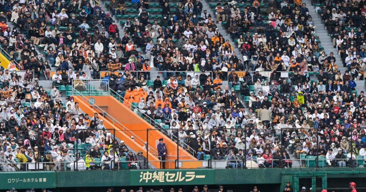 雨の熱戦にファン大声援　プロ野球オープン戦　沖縄セルラースタジアム那覇 - 琉球新報デジタル