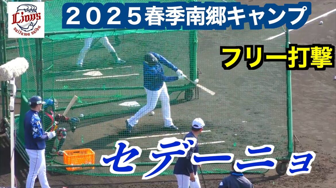 セデーニョフリー打撃！埼玉西武ライオンズ　【２０２５春季南郷キャンプ】