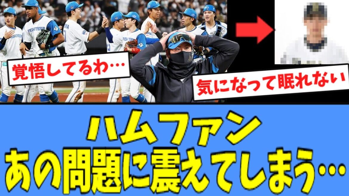 【心配…】ハムファン、"あの問題"に震えが止まらない模様・・・