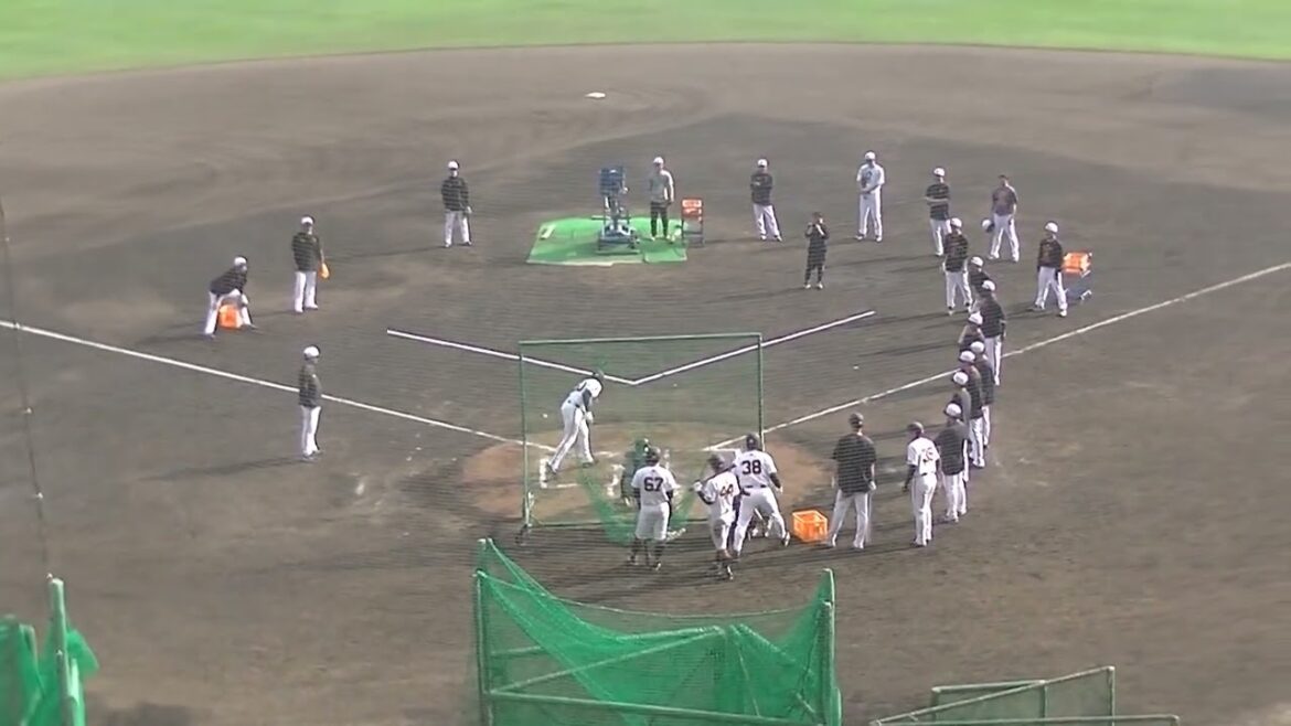 【3球連続 バント成功で練習上がり】浅野翔吾とオコエ瑠偉 が連続バント成功で練習上がり2025年2月17日 読売ジャイアンツ沖縄キャンプ