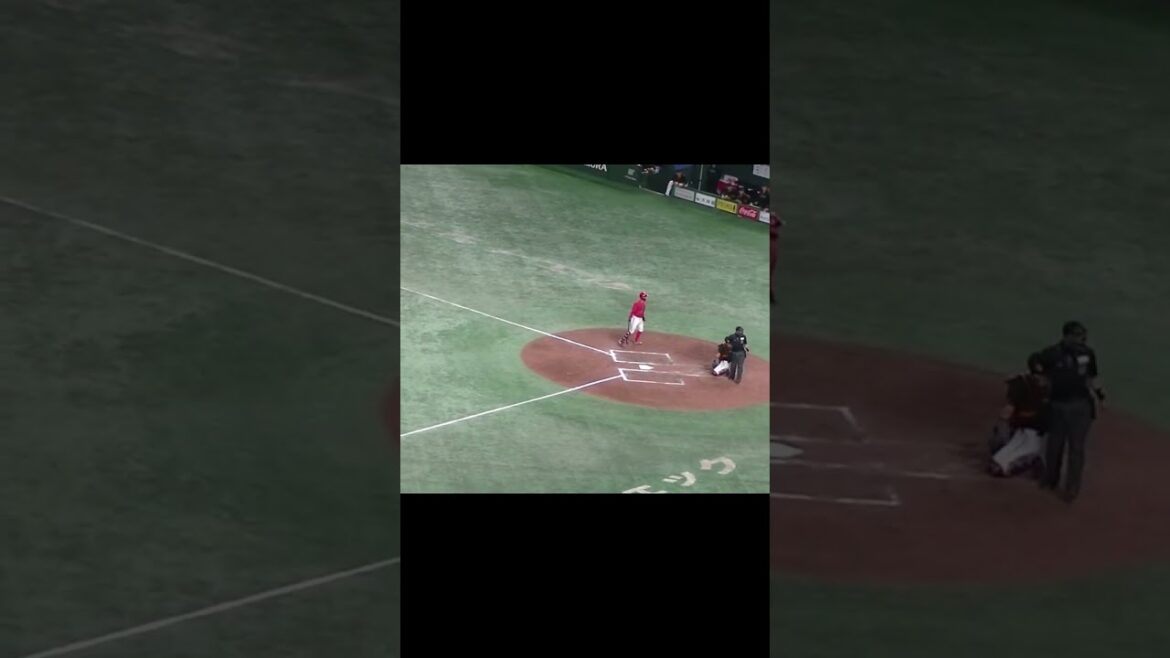 矢野雅哉のファールに当たりそうになる會澤翼【 読売ジャイアンツ対 広島カープ2024年4月13日】