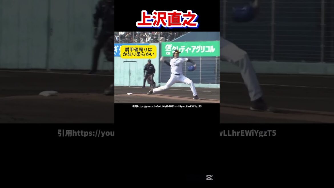上沢直之は今年通用するのか？#プロ野球#ソフトバンクホークス#球速アップ
