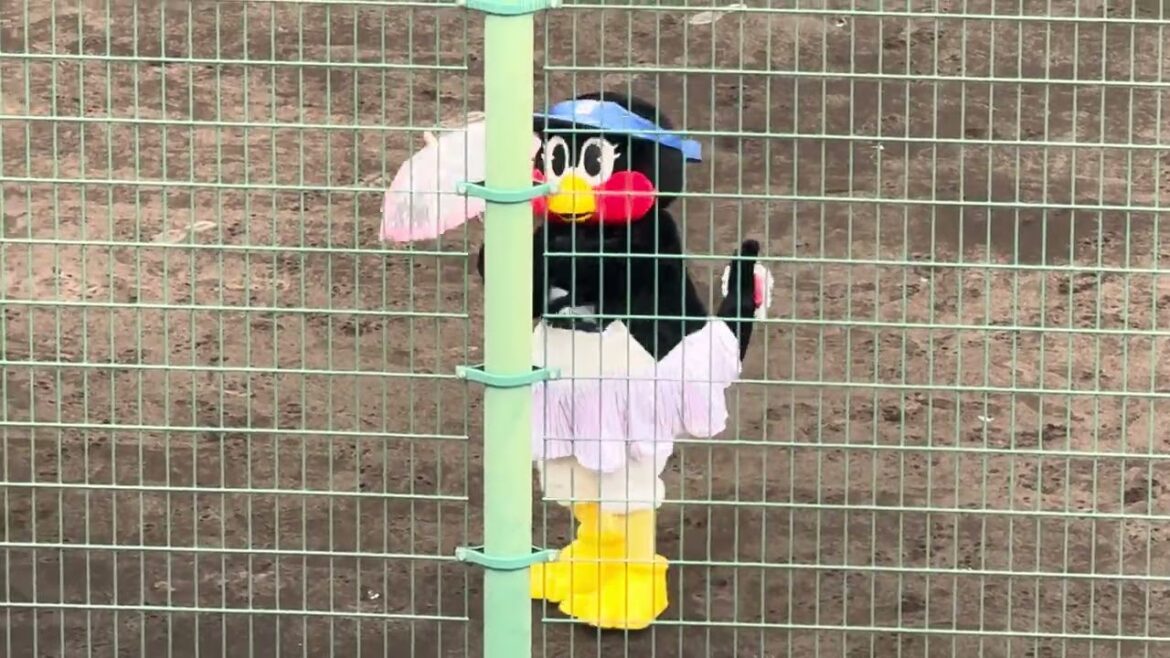 つばみ東京音頭東京ヤクルトスワローズANA BALL PARK浦添市民球場横浜DeNAベイスターズオープン戦ラッキー7つば九郎マスコット