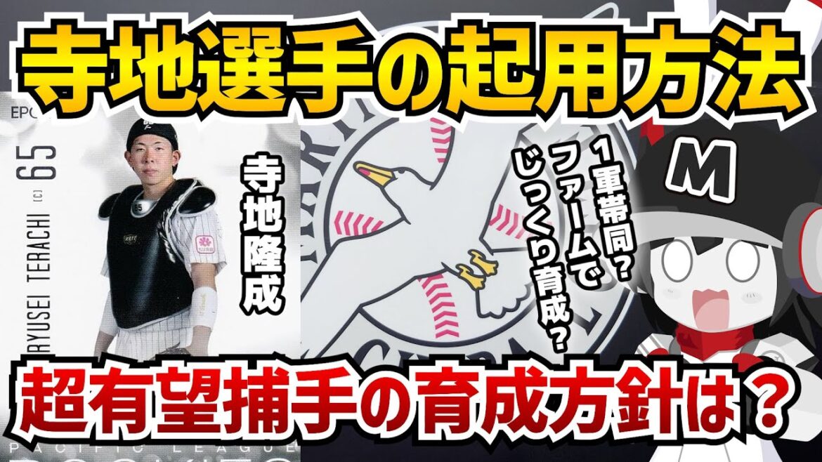 【開幕1軍はあるのか⁉】千葉ロッテマリーンズ寺地隆成選手の起用法/超トッププロスペクト捕手の2年目の起用法は？/1軍で経験を積む？ それともファームでじっくり育成？
