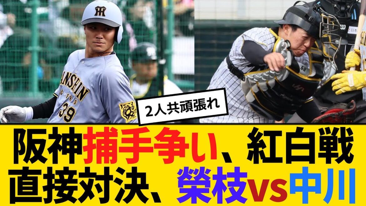 阪神捕手争い、紅白戦直接対決、榮枝裕貴vs中川勇斗 【ネットの反応】【反応集】 阪神捕手争い、紅白戦直接対決、榮枝裕貴vs中川勇斗 【ネットの反応】【反応集】