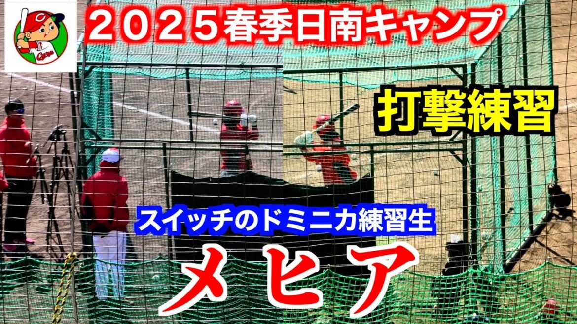 【スイッチのドミニカ練習生】メヒア　フリー打撃！【２０２５春季日南キャンプ＜２軍＞】