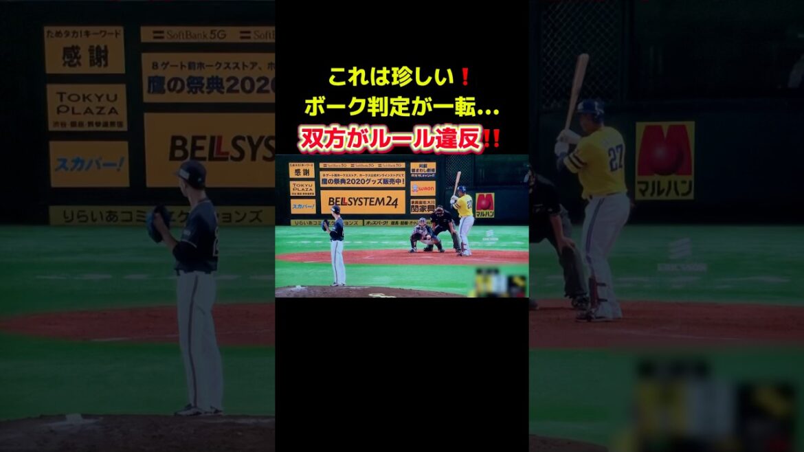 コレは両成敗！