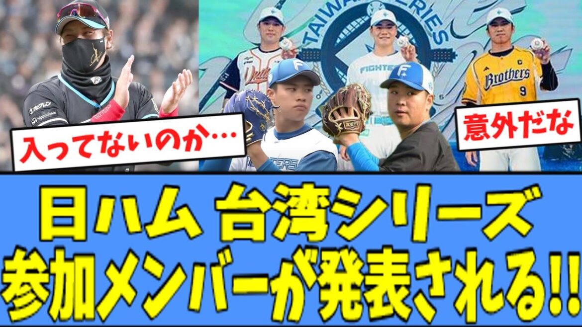 【意外】日ハム 台湾シリーズ 参加メンバー発表、"意外な人選"だと話題になる・・・