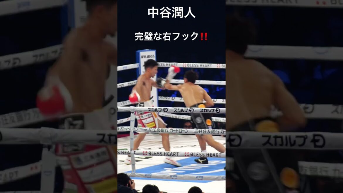 中谷潤人 飛び込んで来たところに完璧な右フック‼️
