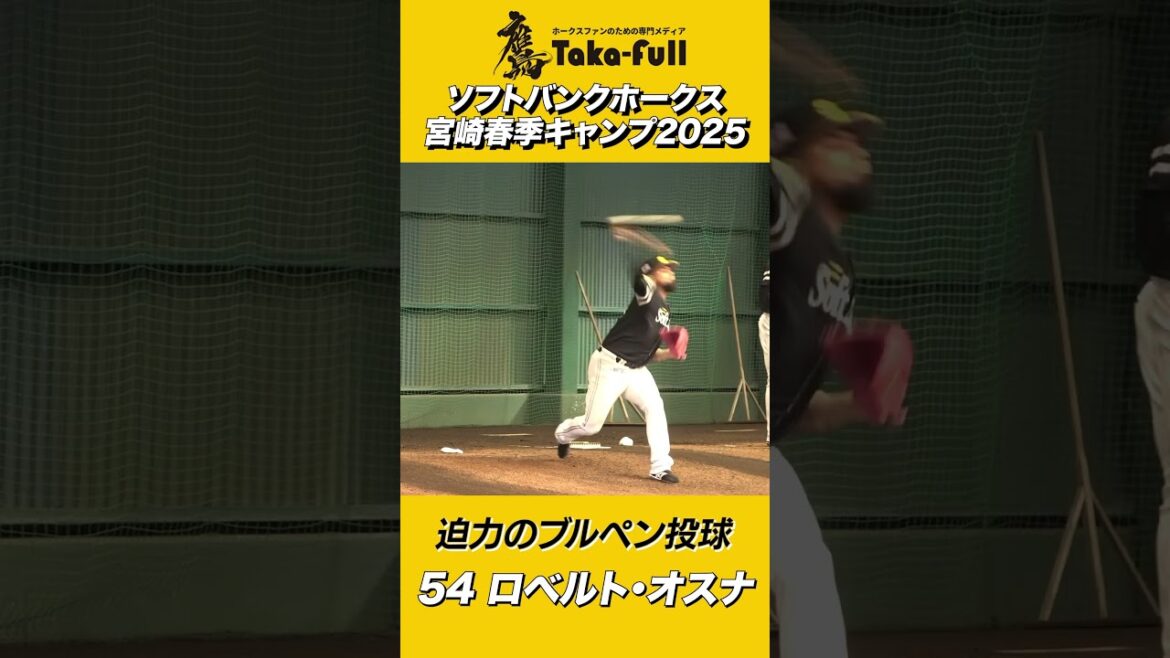 【迫力満点】オスナのブルペン投球！宮崎キャンプ