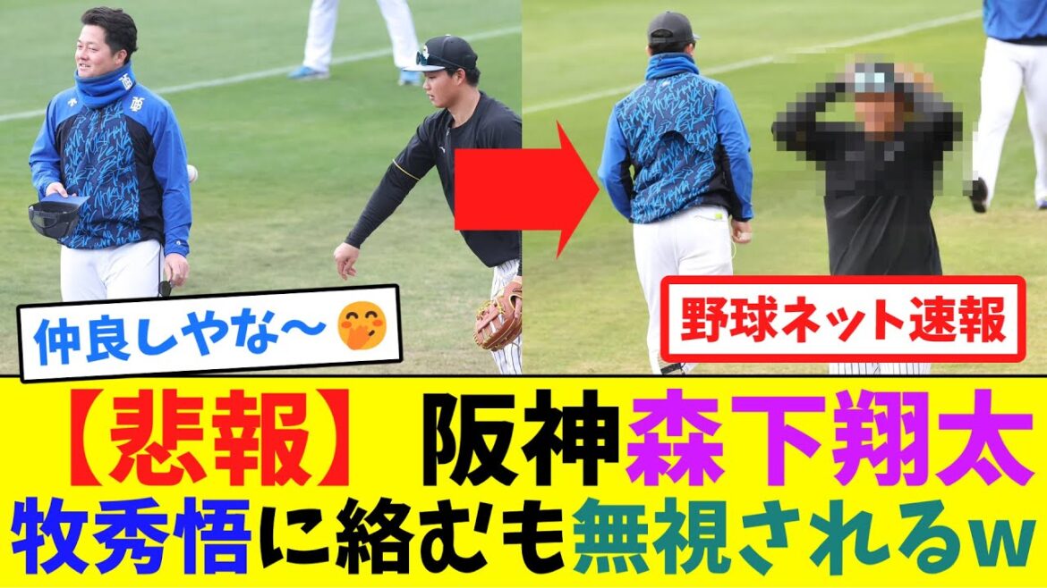 【悲報】阪神森下翔太、牧秀悟に絡むも無視されるw【ネット反応集】