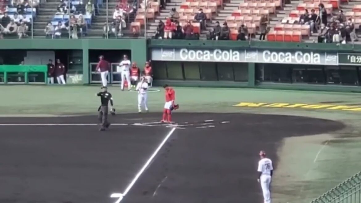 20240301　小深田大翔 登場曲【｢I CAN FLY｣／RAY】　1回ｳﾗ　東北楽天ｺﾞｰﾙﾃﾞﾝｲｰｸﾞﾙｽ@倉敷ﾏｽｶｯﾄｽﾀｼﾞｱﾑ･外野ﾚﾌﾄ ｵｰﾌﾟﾝ戦