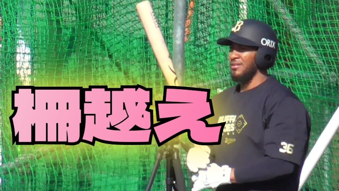 【プロ野球】2025年2月26日　オリックス　キャンプ　『オリバレス、ディアス　フリーバッティング』
