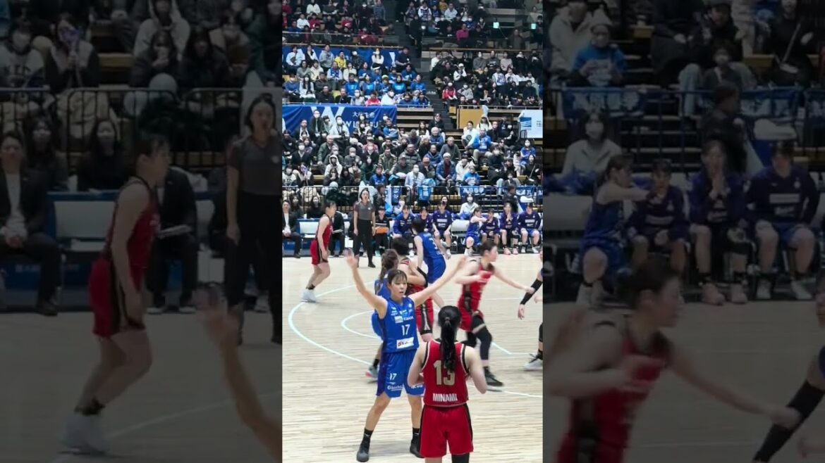 【4K】24-25 Wリーグ レギュラーシーズン フューチャー 東京羽田ヴィッキーズ VS 三菱電機コアラーズ　頂上決戦 ②　2025.02.23.日曜日　 (大田区総合体育館)