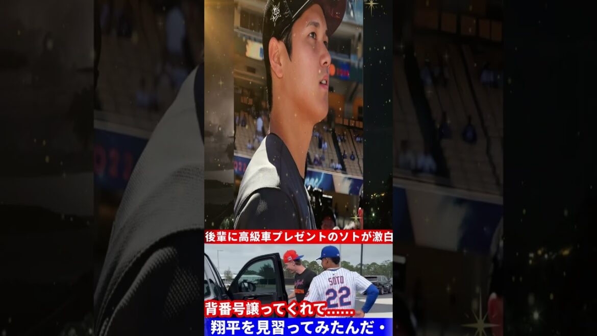 【衝撃展開】ソトが背番号譲渡の感謝で高級車プレゼント！大谷翔平への敬意とドジャース同僚の本音とは？【MLB海外の反応】
