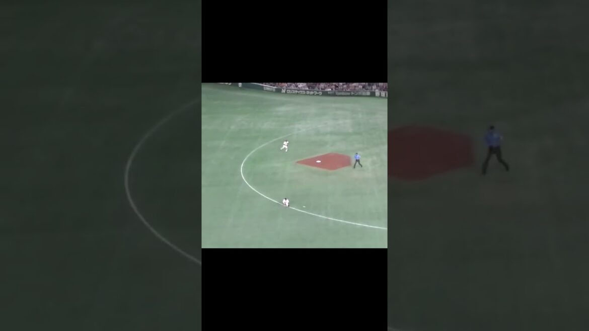 レフトへヒットを放つ田村龍弘（2024年6月6日 読売ジャイアンツ対 千葉ロッテマリーンズ）