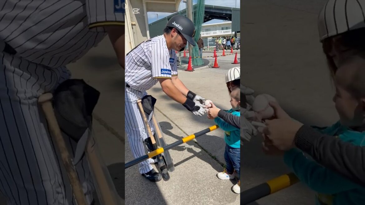 小野寺選手&熊谷選手が息子に神ファンサしてくれました #阪神 #阪神タイガース #プロ野球 #キャンプ #具志川 #沖縄キャンプ #小野寺暖#熊谷敬宥