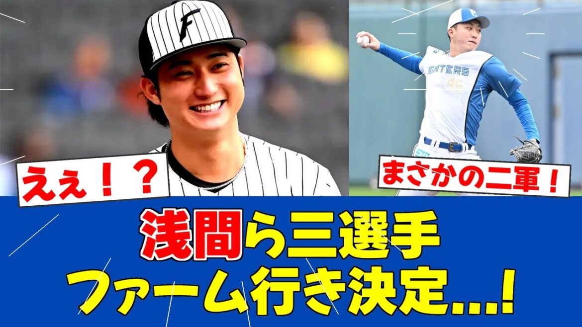 【朗報＆悲報ｗ】日ハム浅間・柳川・マイカ与那嶺が二軍合流へ！レギュラー争いの行方は？【日ハムファンの反応】【F速報】