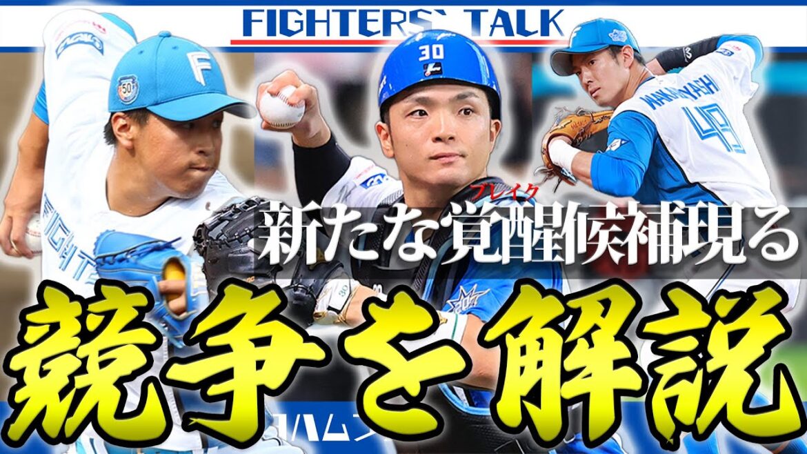 【まだ開幕できていない人へ】2025年ハムの”各ポジションの競争状況”を、急成長した選手の詳細含めて解説！この動画からあなたも開幕です。