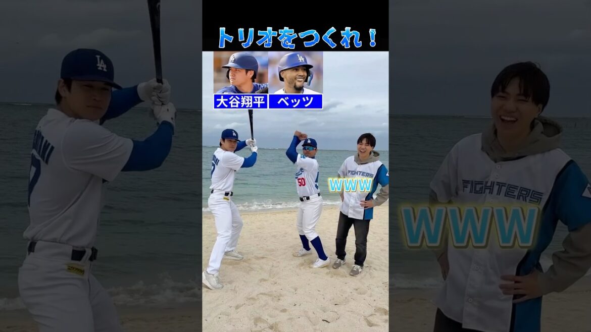 【プロ野球クイズ】トリオを作れ！#ドジャース #阪神タイガース #北海道日本ハムファイターズ