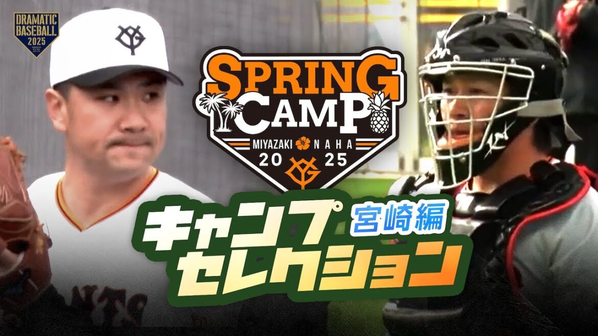 2025 キャンプセレクション〈宮崎編〉TOP3＋番外編 【巨人】【春季キャンプ】