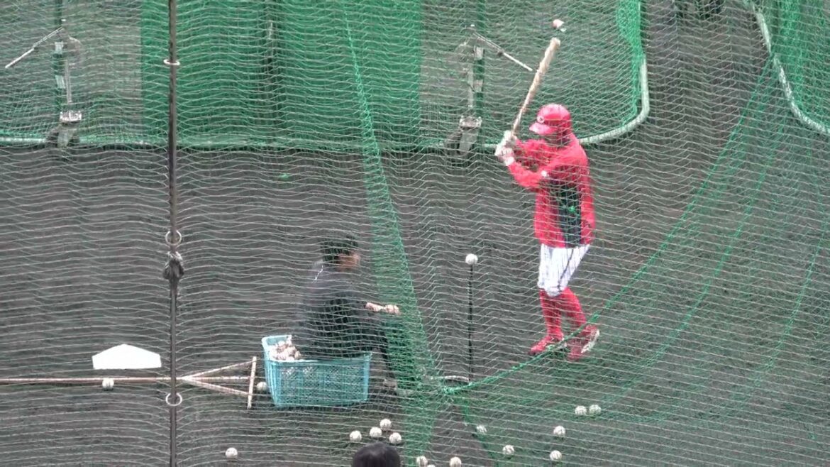 広島東洋カープ・春季キャンプ　ティーバッティング【33】菊池内野手　2025.2.23