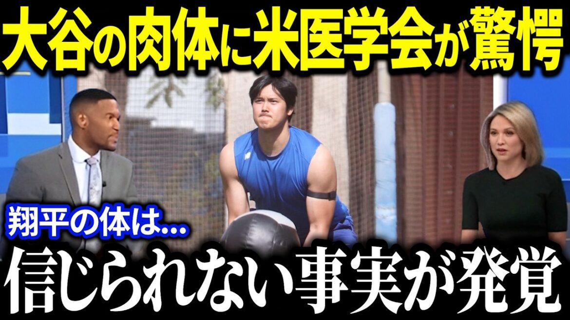 大谷翔平の驚異的な肉体が話題沸騰！「日本人なのに規格外すぎる！」米国が驚く圧倒的フィジカルに賞賛の嵐【海外の反応MLBメジャー野球】