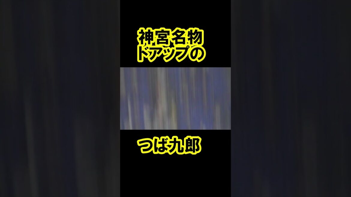 つば九郎のドアップ