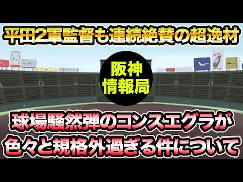 【平田2軍監督も連続絶賛の超逸材】球場騒然弾のコンスエグラが色々と楽しみ過ぎる件について【阪神タイガース】 【平田2軍監督も連続絶賛の超逸材】球場騒然弾のコンスエグラが色々と楽しみ過ぎる件について【阪神タイガース】