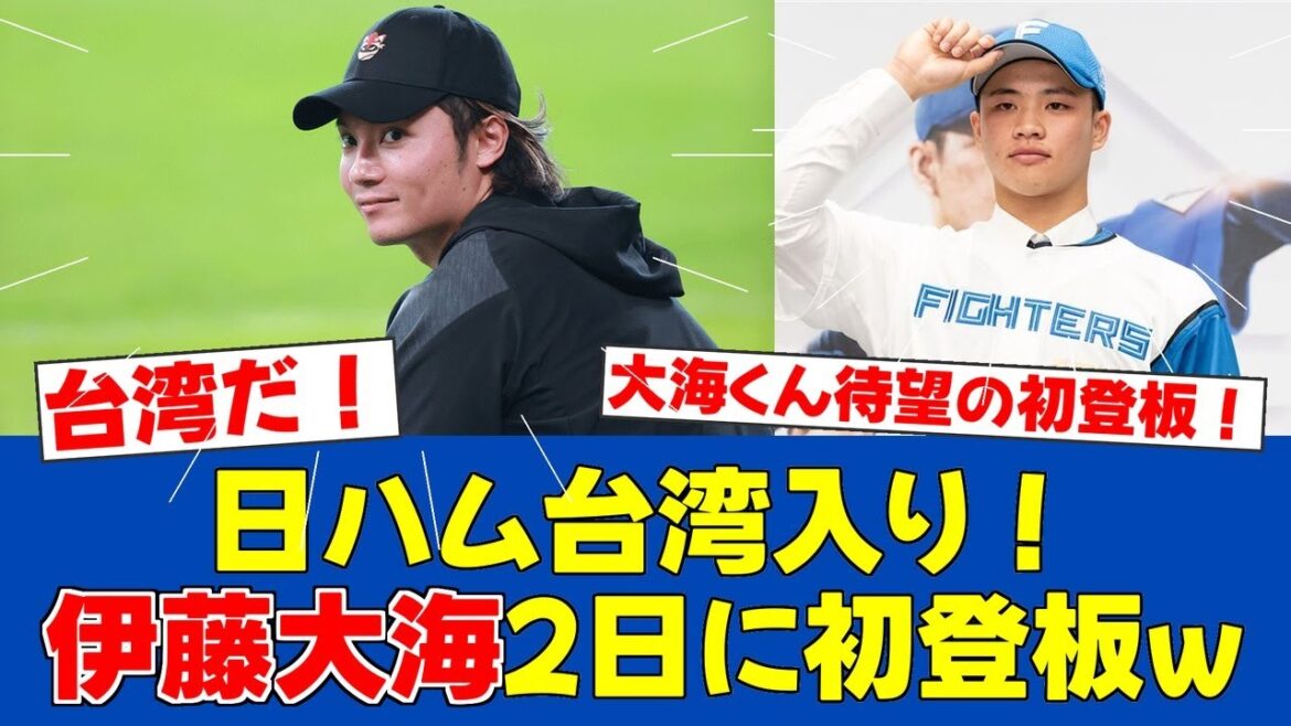 【台湾シリーズ】日ハム台北入り！伊藤大海が今季初登板へ【日ハムファンの反応】【F速報】