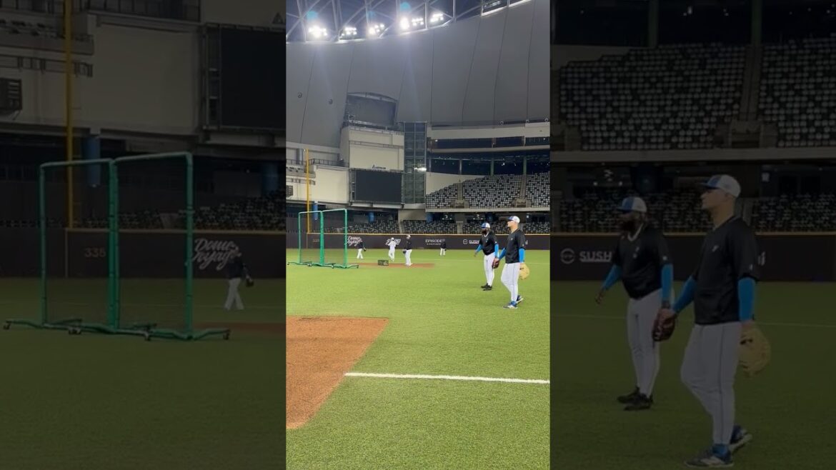 ファーストゴロ✌ #アリエル・マルティネス #フランミル・レイエス #lovefighters