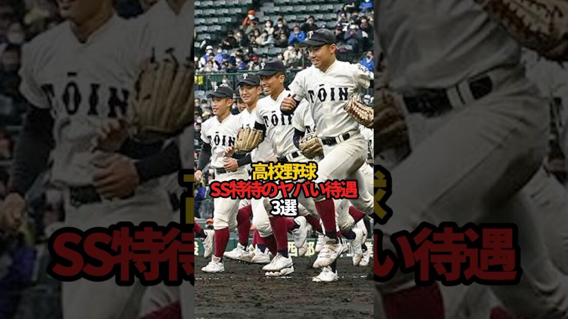 高校野球 SS特待のヤバい待遇 3選#sports #shorts #高校野球 #野球 #やきゅスト