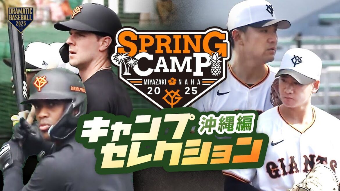 2025 キャンプセレクション〈沖縄編〉TOP3 【巨人】【春季キャンプ】