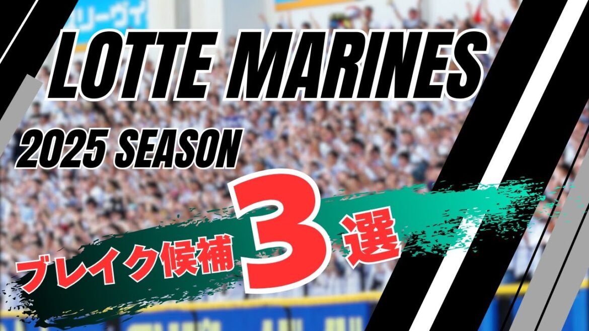 千葉ロッテマリーンズブレイク選手候補3選