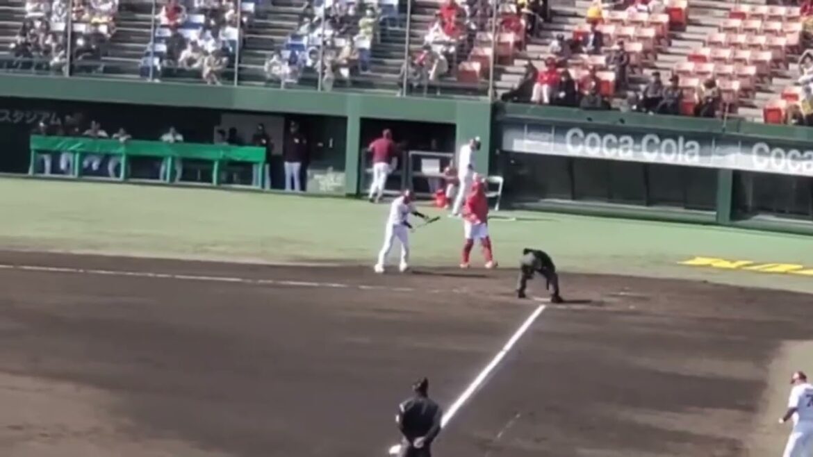 20240301　▼　辰己涼介 登場曲【｢I'll Be There｣／GENIC】　3回ｳﾗ　東北楽天ｺﾞｰﾙﾃﾞﾝｲｰｸﾞﾙｽ@倉敷ﾏｽｶｯﾄｽﾀｼﾞｱﾑ･外野ﾚﾌﾄ ｵｰﾌﾟﾝ戦