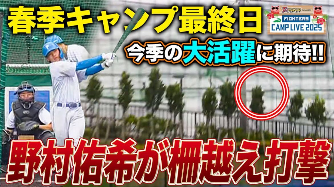 【開幕4番】キャンプ最終日に野村佑希が打撃練習で柵越え<2/26ファイターズ春季キャンプ2025> 【開幕4番】キャンプ最終日に野村佑希が打撃練習で柵越え<2/26ファイターズ春季キャンプ2025>