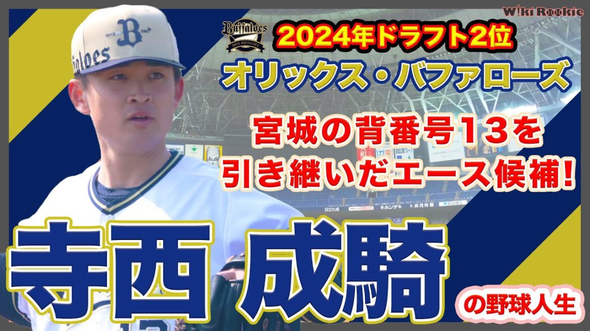 寺西 成騎【オリックス・バファローズ2024年ドラフト2位】の野球人生