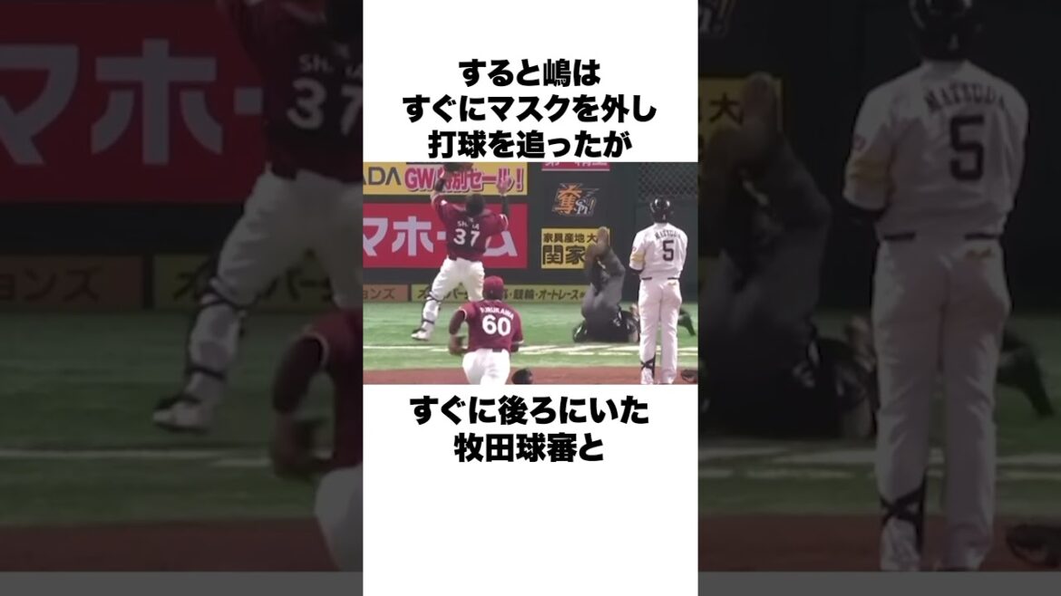 「審判を吹き飛ばした後の0.96秒」嶋基宏と牧田球審についての雑学#野球 #野球雑学