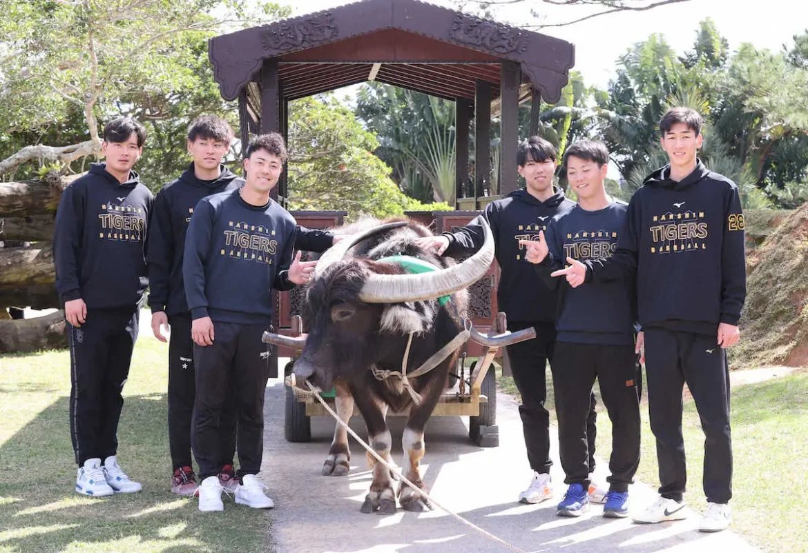 阪神　「すごく楽しかった」ドラ2今朝丸らがキャンプ休日で“沖縄体験”リフレッシュ― スポニチ Sponichi Annex 野球