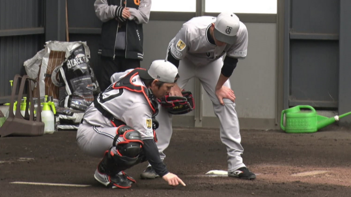 日本テレビ放送網