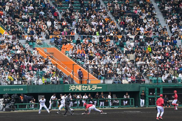 雨の熱戦にファン大声援　プロ野球オープン戦　沖縄セルラースタジアム那覇
