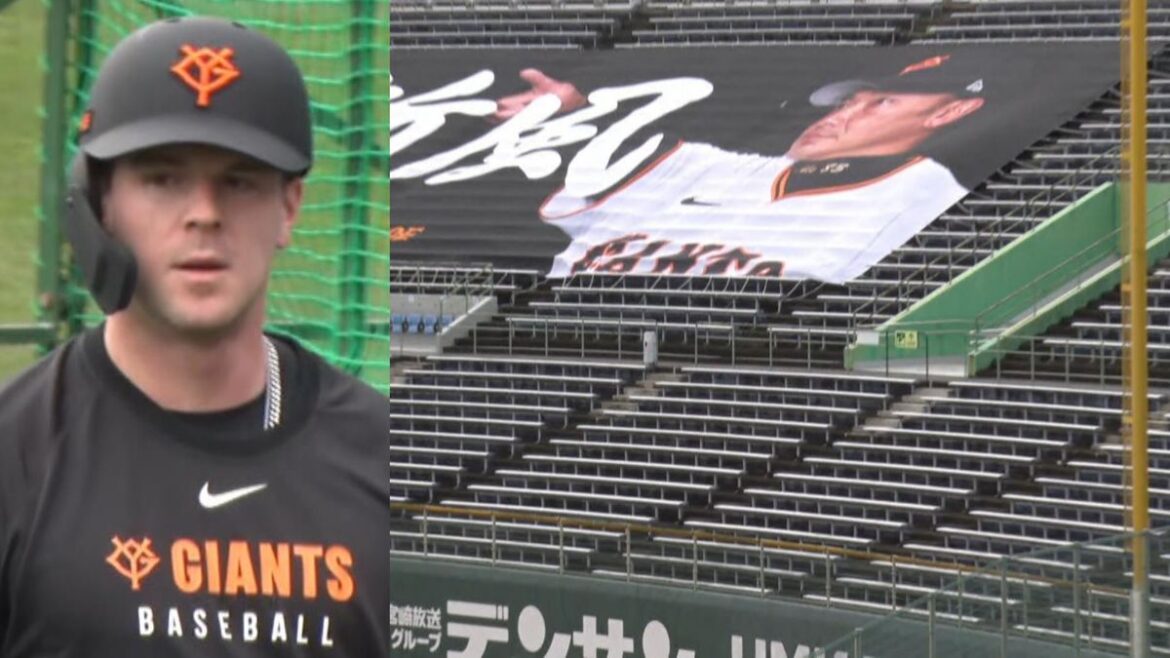 日本テレビ放送網